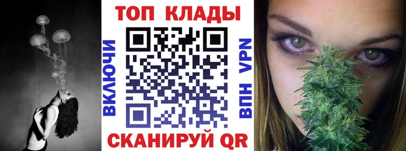 Наркошоп купить Псилоцибиновые грибы  Мефедрон  Alpha-PVP  МАРИХУАНА  КОКАИН  Ветлуга