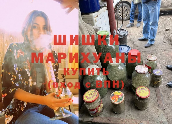стафф Карпинск
