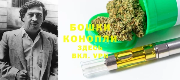 стафф Карпинск