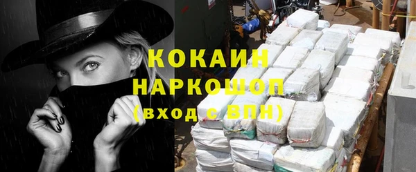 стафф Карпинск