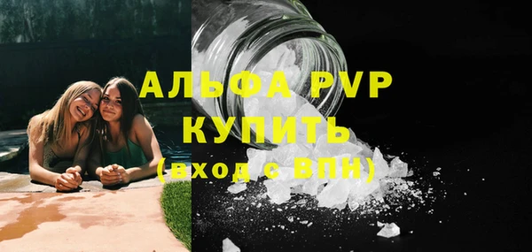 стафф Карпинск