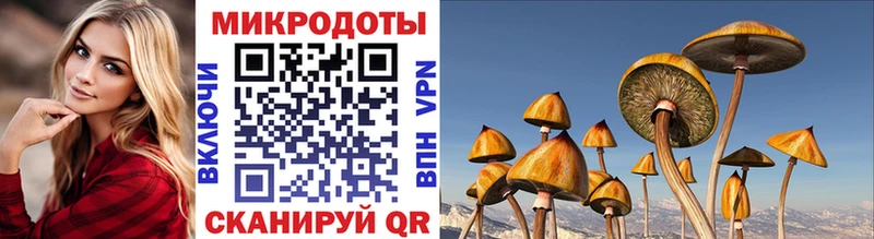 Псилоцибиновые грибы мицелий  Купить  Ветлуга 