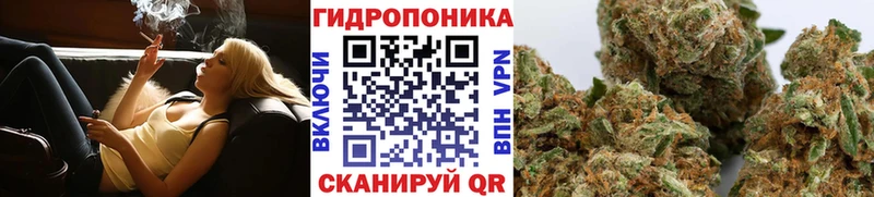 Купить закладки  Ветлуга  Марихуана семена 